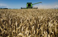 Внутрішній конфлікт і групи впливу. Навіщо в ЛНР брешуть про відсутність експорту зерна в Росію