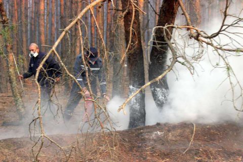 У Чорнобильській зоні пожежі тривають на території шести лісництв
