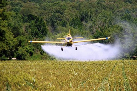 Проверка не выявила пестицидов в грунте и частных растениях селян в Тернопольской области