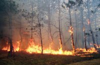 У Херсонській області пожежа пошкодила 140 гектарів лісу