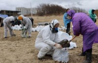 За два дні в Севастополі зібрали понад 100 тонн забрудненого мазутом грунту