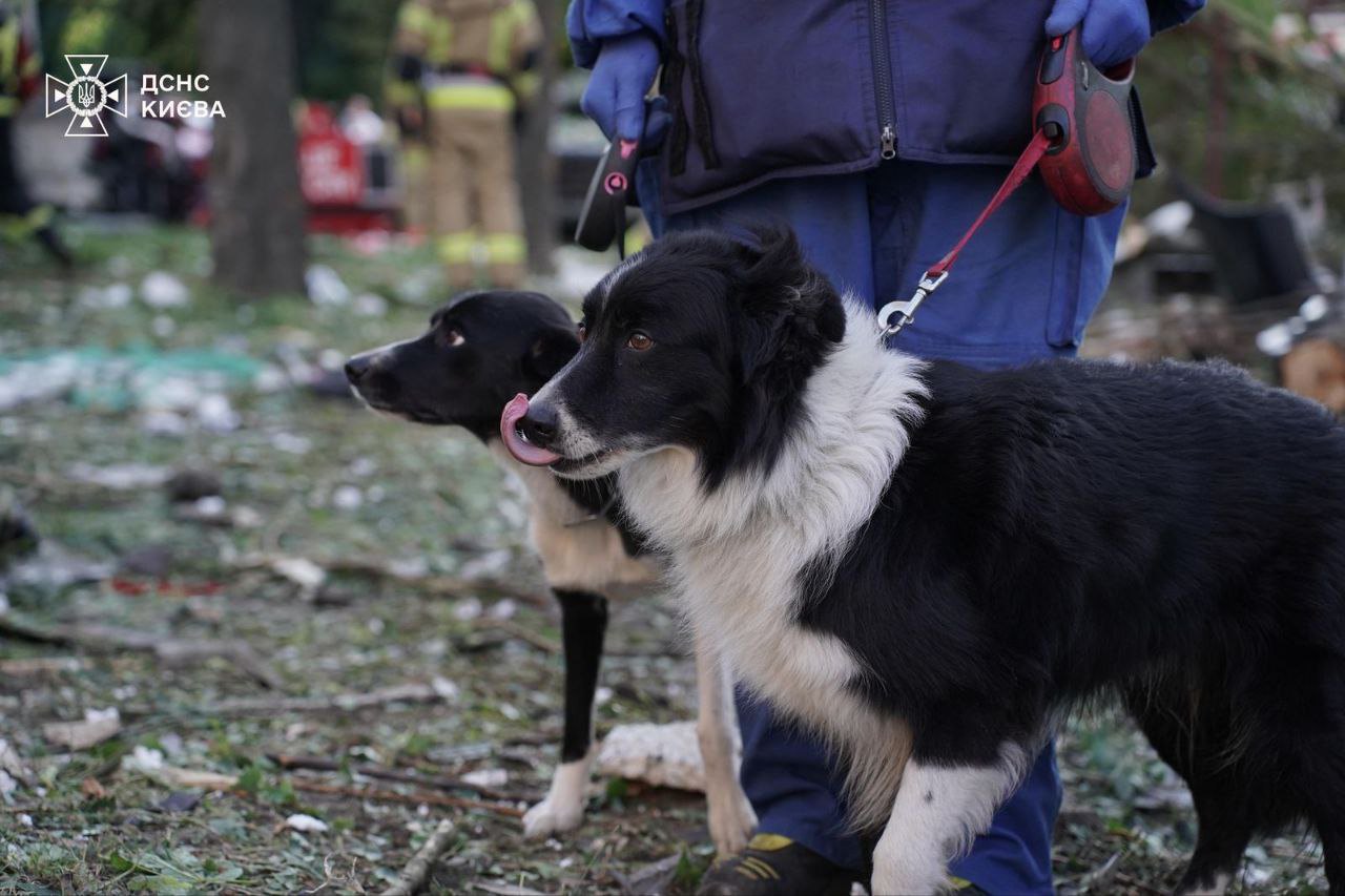 Наслідки атаки 23 червня 