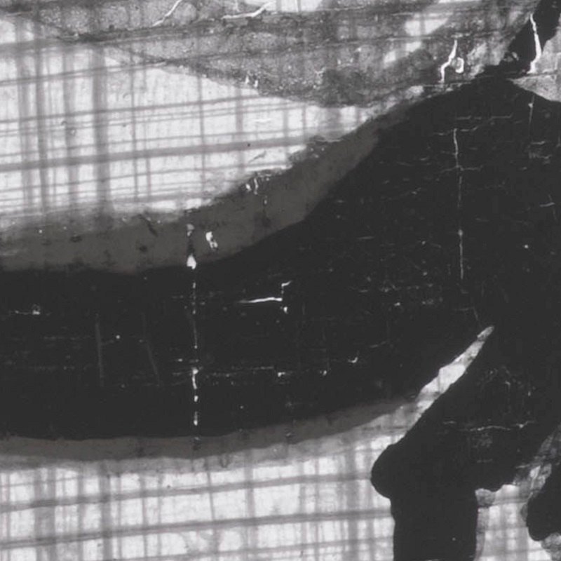 Фотографія відкоригованого тіла шакала, зроблена під інфрачервоним випромінюванням, що проникає крізь шари фарби