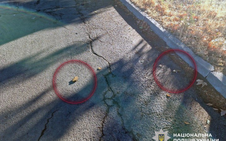 Поліцейські знищили міни-”пелюстки”, розкидані росіянами у Херсоні