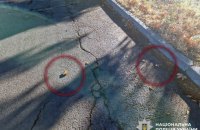 Поліцейські знищили міни-”пелюстки”, розкидані росіянами у Херсоні