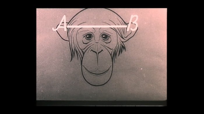 Кадр з фільму &quot;Людина та мавпа&quot;