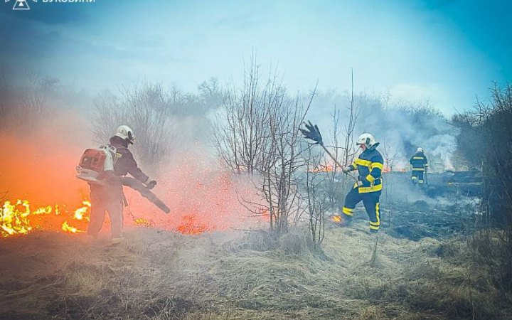 На Буковині під час ліквідації пожежі сухостою знайшли тіло чоловіка