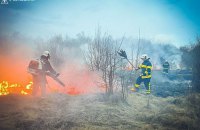 На Буковині під час ліквідації пожежі сухостою знайшли тіло чоловіка