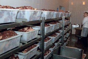 Кремль запретил импорт мяса из США