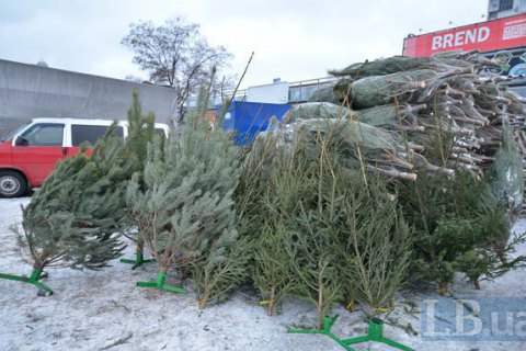 Пункты утилизации новогодних елок в Киеве заработают 4 января (карта)
