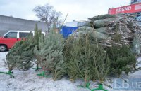 Пункты утилизации новогодних елок в Киеве заработают 4 января (карта)