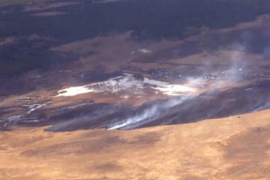 ​Площадь лесных пожаров в Сибири за сутки увеличилась более чем в полтора раза