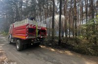 На Харківщині триває ліквідація 3 лісових пожеж на загальній площі 280 га