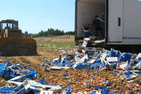 В России за три месяца уничтожили 787 тонн запрещенной еды