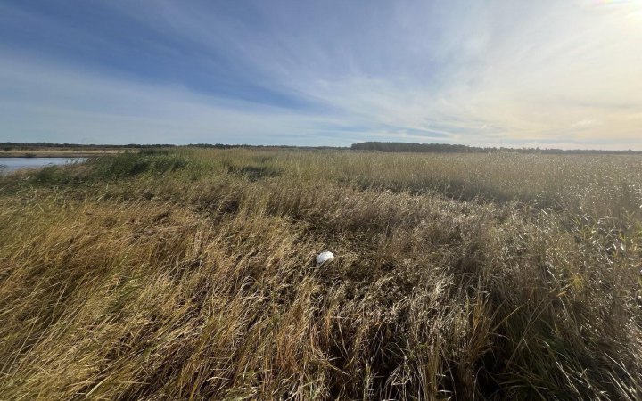 В Естонії знайшли уламок дрона іноземної держави
