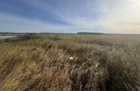 В Естонії знайшли уламок дрона іноземної держави