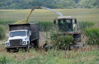 А могли бы выйти в лидеры биржевой торговли аграрной продукцией