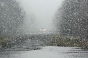 У середу в Києві обіцяють невеликий мокрий сніг