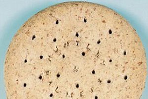 На Christie’s продадут 100-летнее печенье из Антарктики
