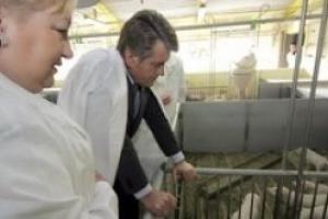 Ющенко и его «молдаване»