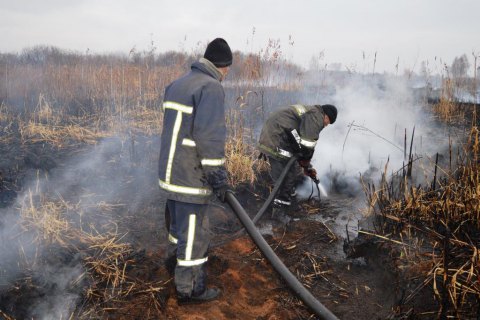 В Черниговской области загорелось более 18 га торфяников