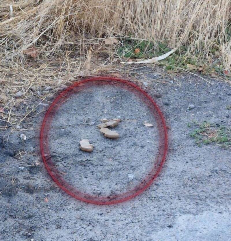 У Херсоні далі виявляють міни-“пелюстки”