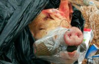 ​На остановке в Запорожье оставили свиную голову с муляжом гранаты