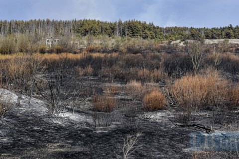 У Чорнобильській зоні нарахували понад 8 мільярдів збитків від весняних пожеж