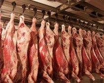 В Днепропетровской области работники мясокомбината украли мяса на 10 млн грн