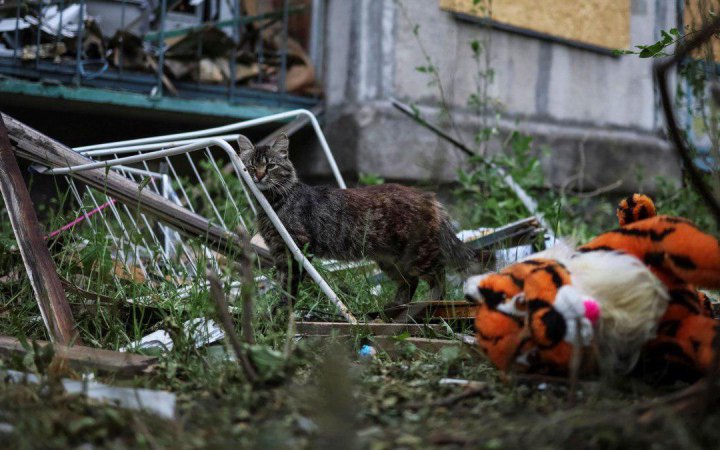 На Донеччині у зоні активних бойових дій залишаються 212 дітей