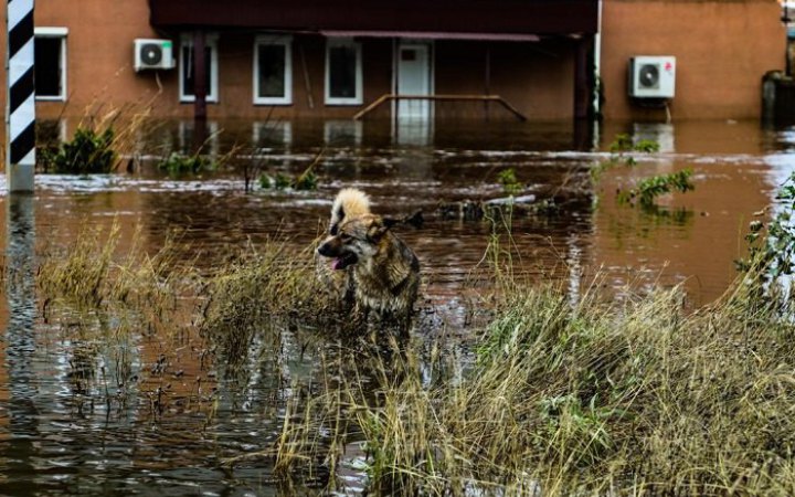 Підрив РФ Каховської ГЕС: на відновлення зруйнованого потопом житла уряд виділив 980 млн гривень