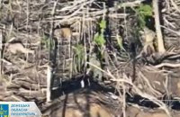 Окупанти розстріляли ще двох військовополонених на Покровському напрямку