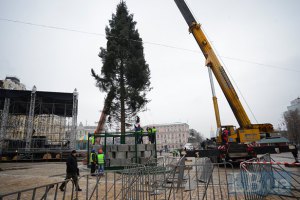 Новогоднюю елку в Киеве зажгут 19 декабря 