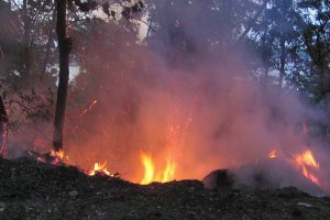 У Києві гасили пожежу біля вертолітного майданчика