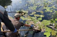 ​Міндовкілля заявило, що якість води у місцях водозаборів Києва та Броварів - у межах норми