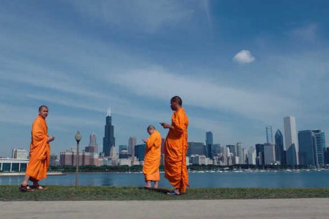 ​Среда обитания. Что смотреть на Docudays UA в этом году