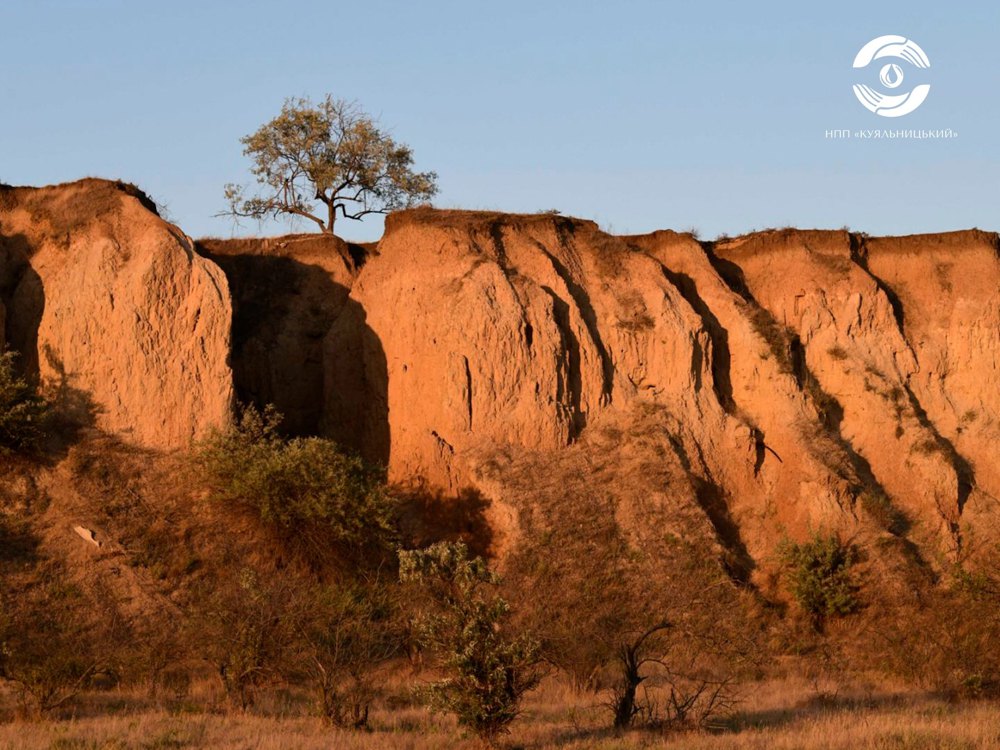 Ландшафти НПП «Куяльницький»
