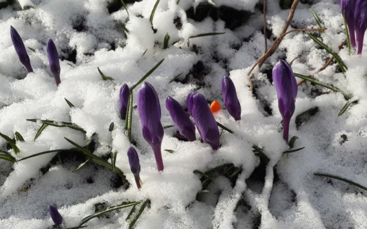 Завтра в Україні буде сухо та місцями до +13