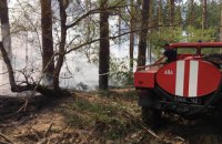В Херсонской области горело пять гектаров леса