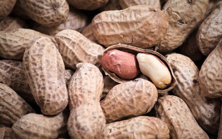 В Україну завезли отруйний арахіс, - Держпродспоживслужба