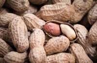 В Україну завезли отруйний арахіс, - Держпродспоживслужба