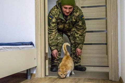 У Старичах відкрили новий гуртожиток для 125 військових і одного кота, - Порошенко