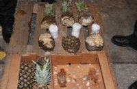 В Ильичевском порту нашли 38 кг кокаина в ананасах 