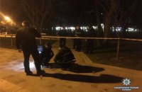 В киевском парке Киото двое мужчин пострадали от взрыва гранаты (обновлено)