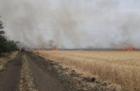 В Запорожской области сгорело ​20 га пшеницы