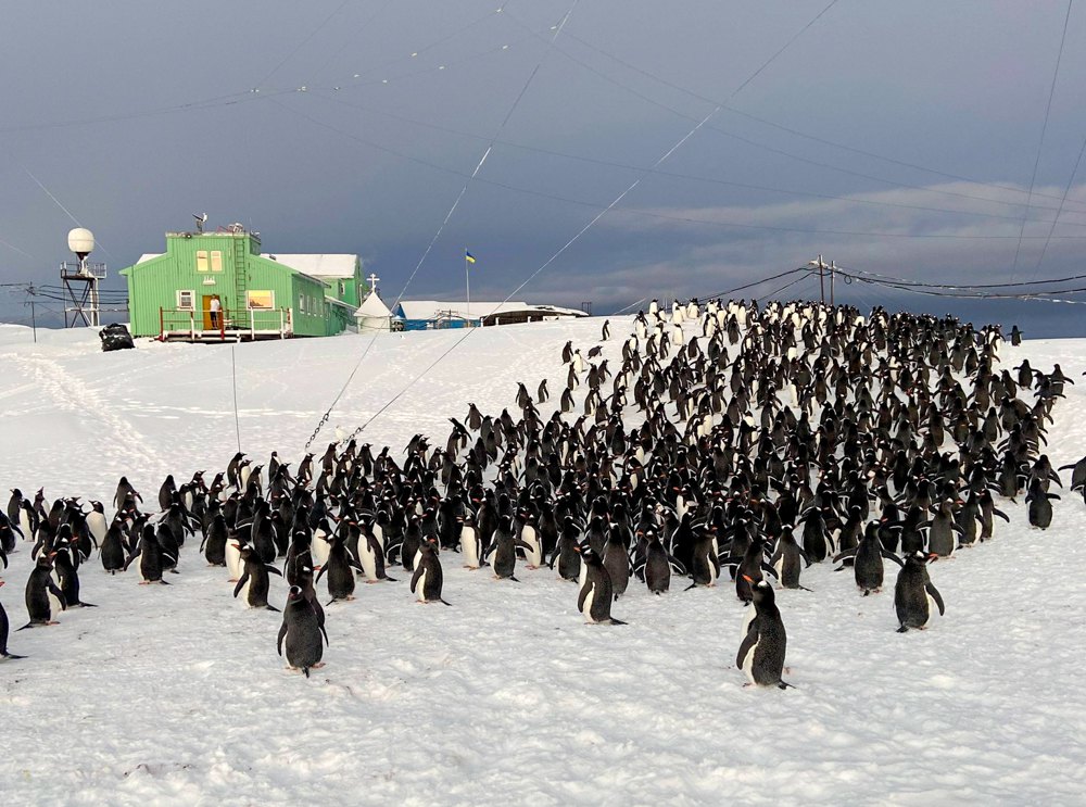 Біля станції «Академік Вернадський»