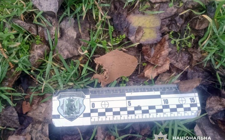 Поліцейські знайшли у Херсоні 12 мін-“пелюсток”