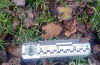 Поліцейські знайшли у Херсоні 12 мін-“пелюсток”