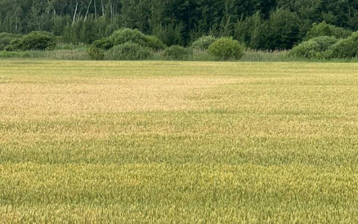 Державі повернули 564 га особливо цінних земель НААН: це майже 800 футбольних полів