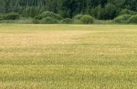 Державі повернули 564 га особливо цінних земель НААН: це майже 800 футбольних полів